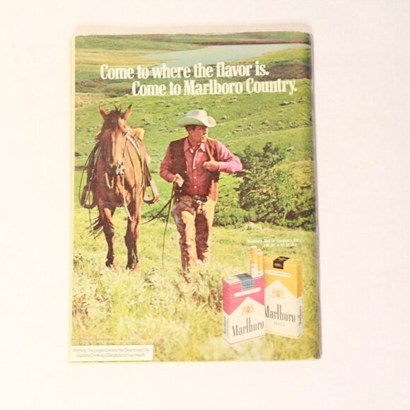 Vintage Art Playboy Memorabilia Home Decor Supermodel 70's - Picture 5 of 5